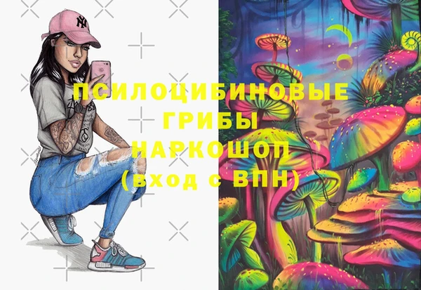 ПСИЛОЦИБИНОВЫЕ ГРИБЫ Верхнеуральск