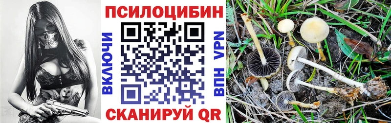 Галлюциногенные грибы прущие грибы  блэк спрут ONION  Гатчина 